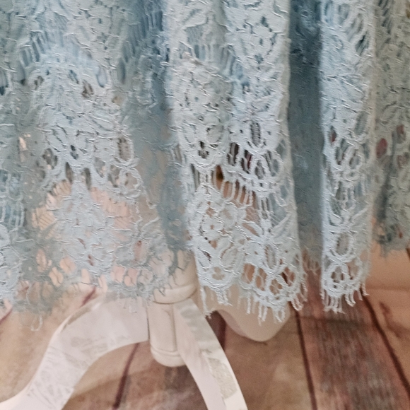 NWT Lane Bryant lace lined dress sz 22 - Picture 5 of 11